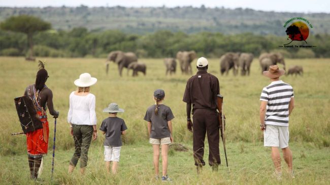 Family Safari Holidays Family Safari Holidays