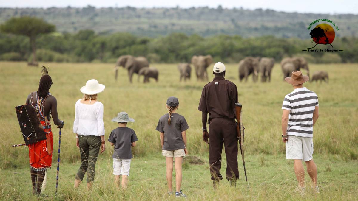 Family Safari Holidays Family Safari Holidays