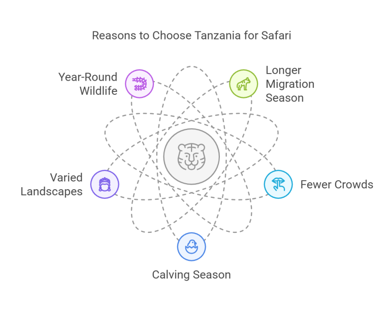 Kenya vs Tanzania Safari: Which Country Is Better for Your First African Safari?