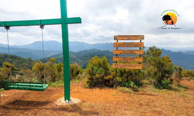 Magamba Forest Reserve