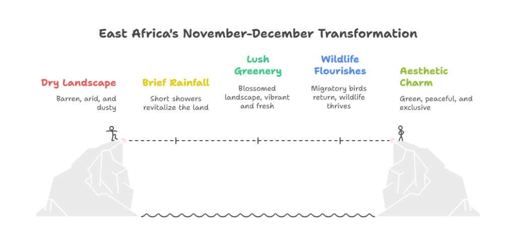 November to December_ Short Rains and Scenery Revival