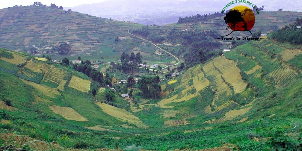 Rwenzori hiking safaris Tour Rwenzori hiking safaris Tour