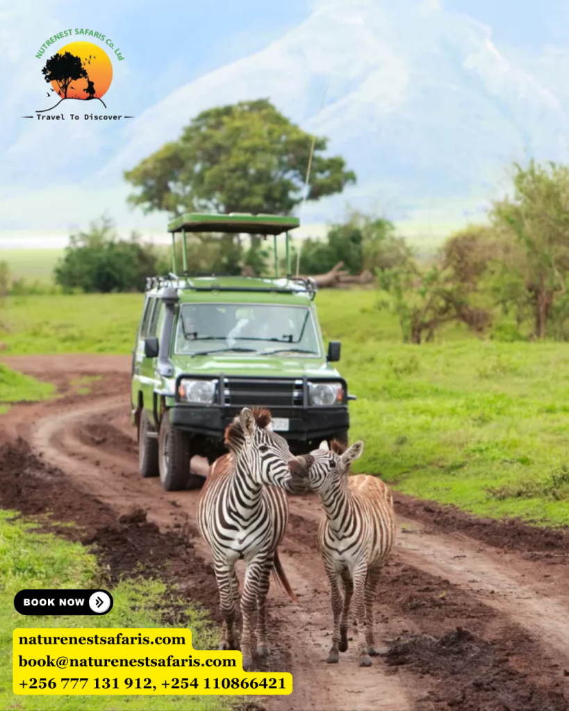 Tanzania Wildebeest Migration Safari