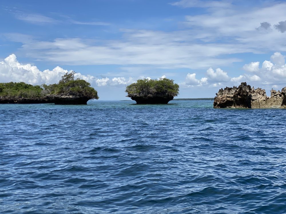 The indian ocean water island during Vasco da Gama Pillar visit in Malindi Kenya