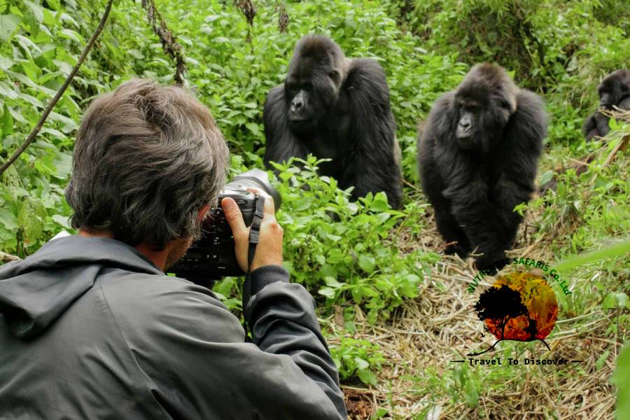 5 Days Mountain Gorilla Trekking Safari