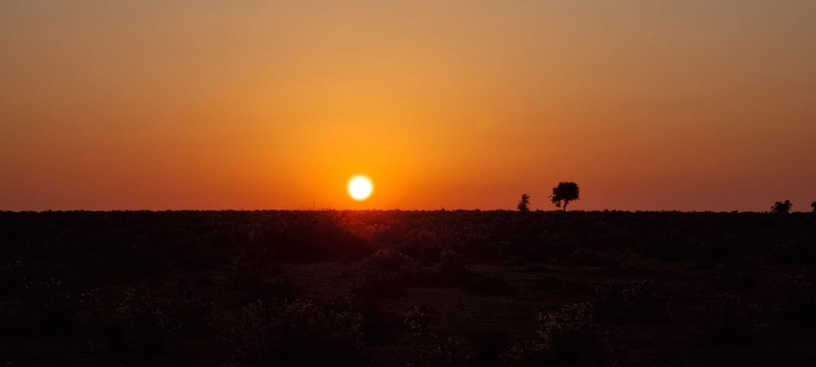 Namib Desert Namibia
