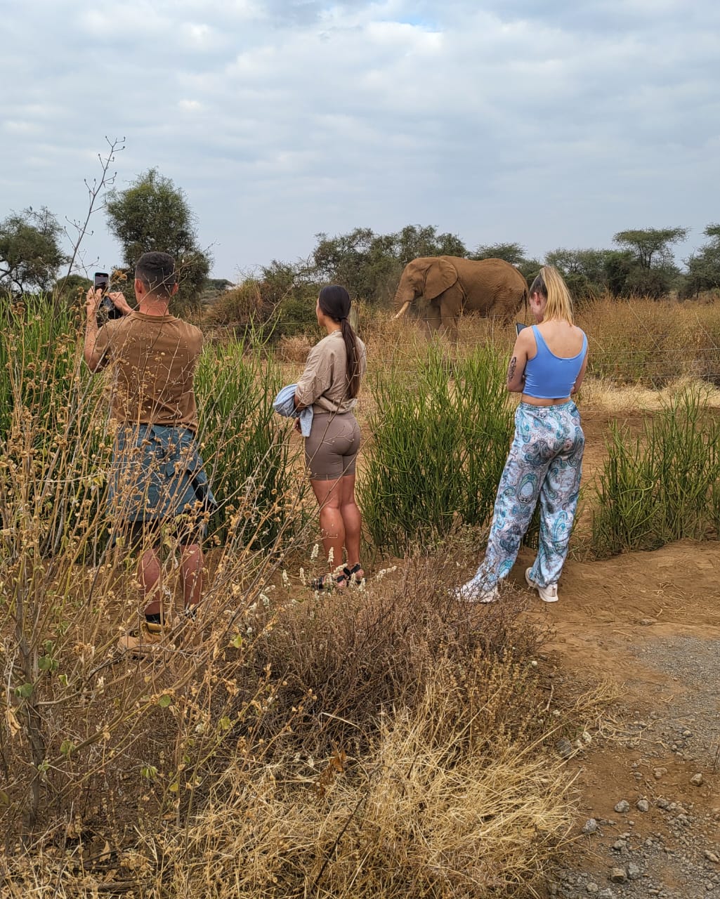 Tourists watching elephant up close at Amboseli Kenya