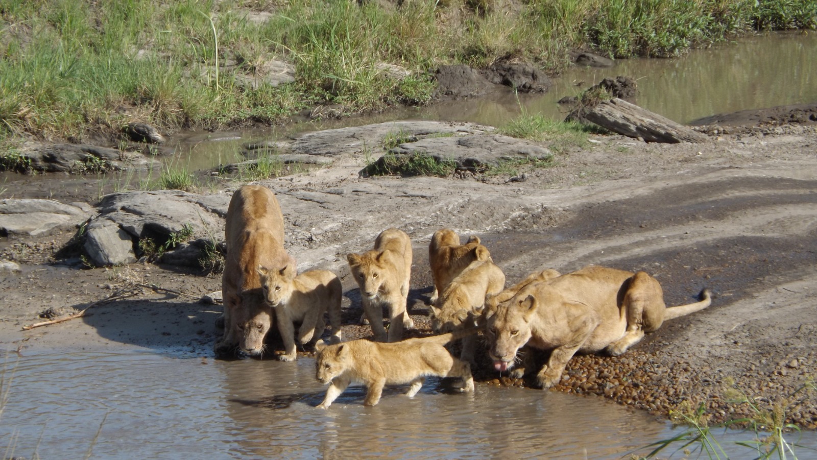 Kenya Adventure