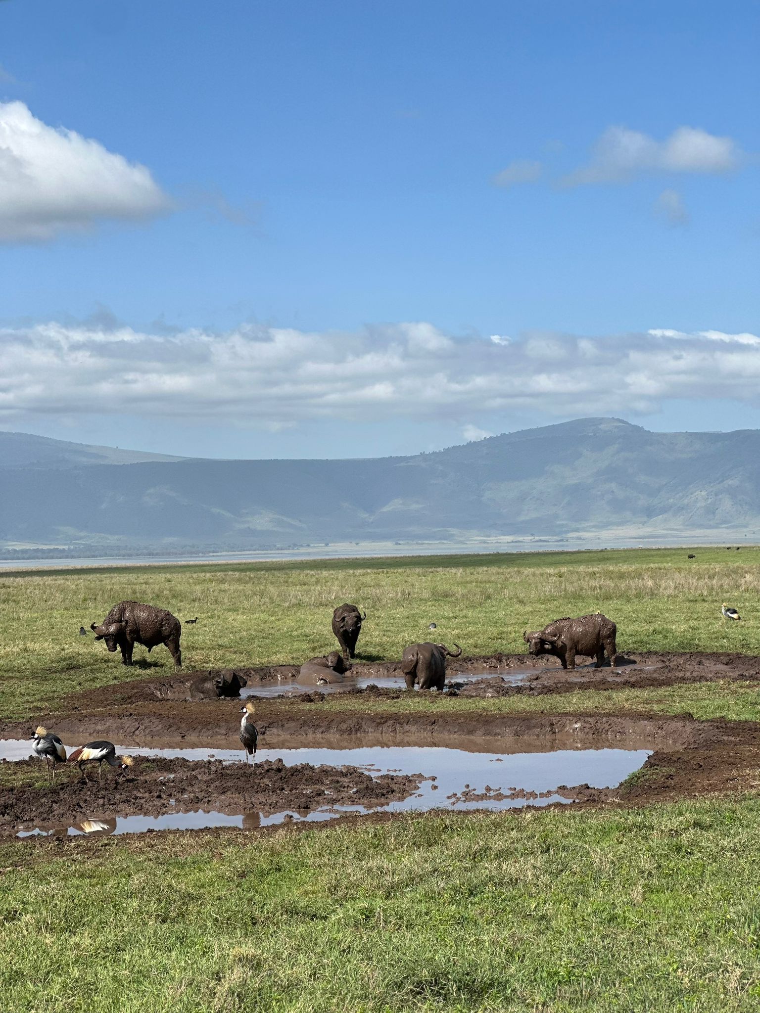 Tarangire National Park