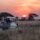 Serengeti National Park Tanzania safari landscape with wildlife