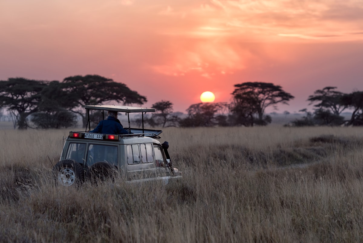 Safari and Beach Holiday: Combining Tanzania Safari with Zanzibar (2026 Guide)
