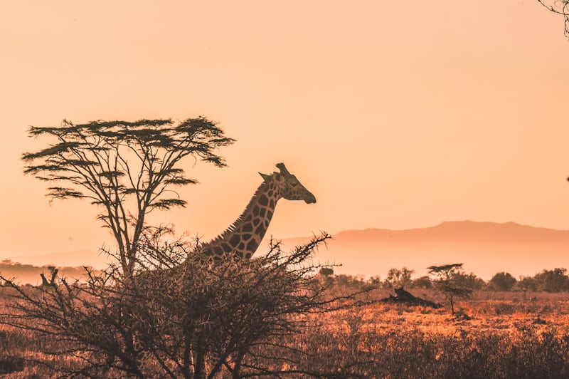 20 Days Kenya and Tanzania Road Trip