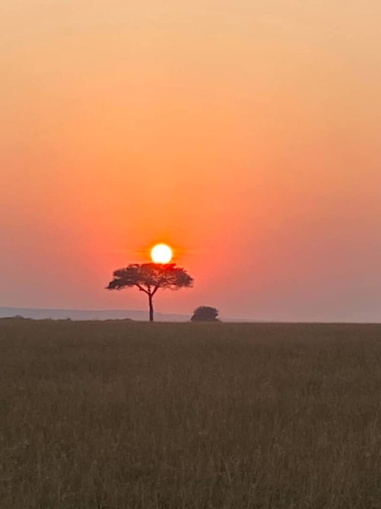 African Sunsets on Safari: Why Golden Hour in the Masai Mara Will Stay With You Forever