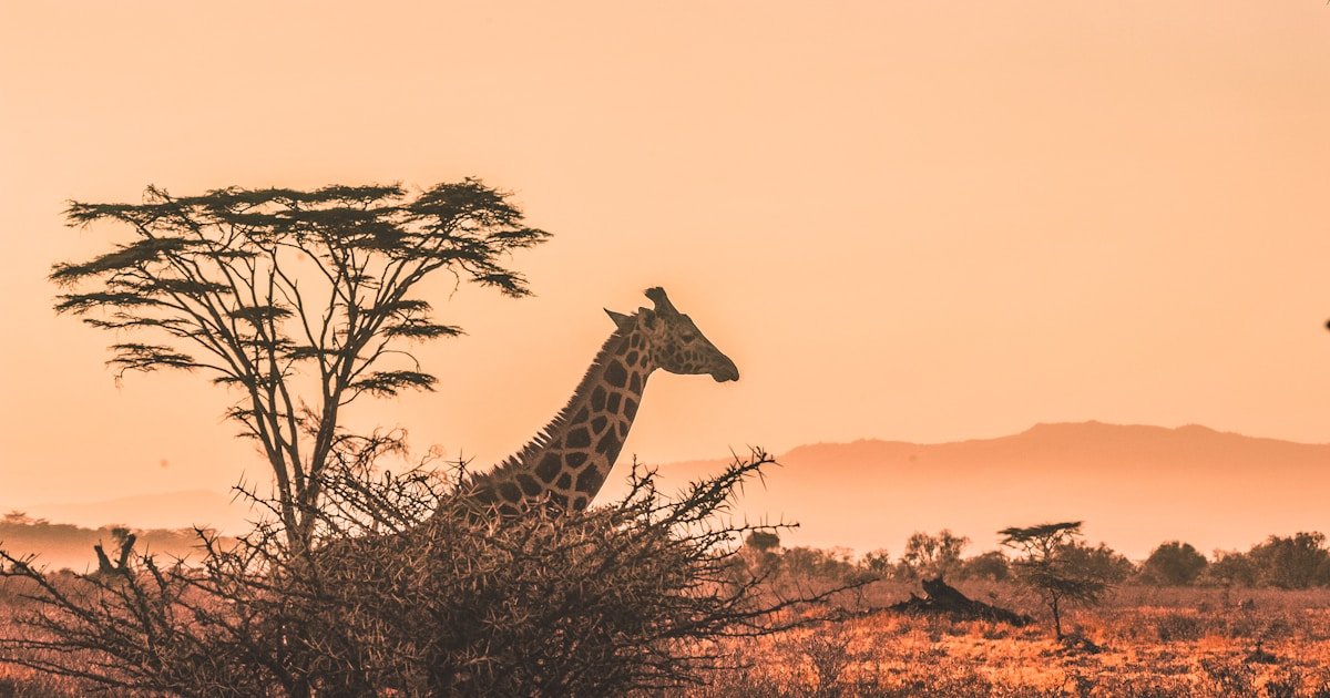 20 Days Kenya-Tanzania Road Trip