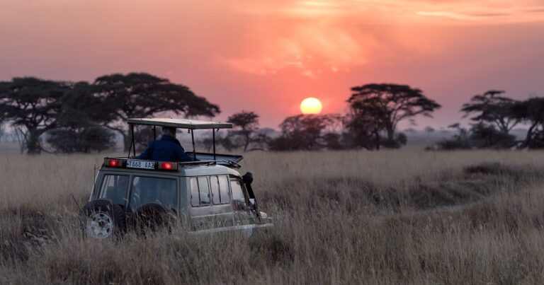 What to Pack for an East Africa Safari: The Essential 2026 Packing List for UK & European Travellers