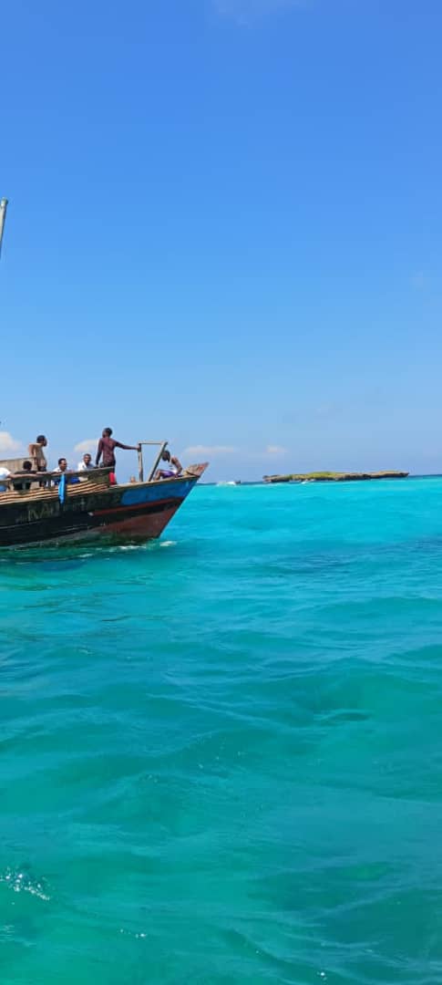 Tanzania Safari and Zanzibar Beach Holiday: The Perfect Two-Week Itinerary From Europe
