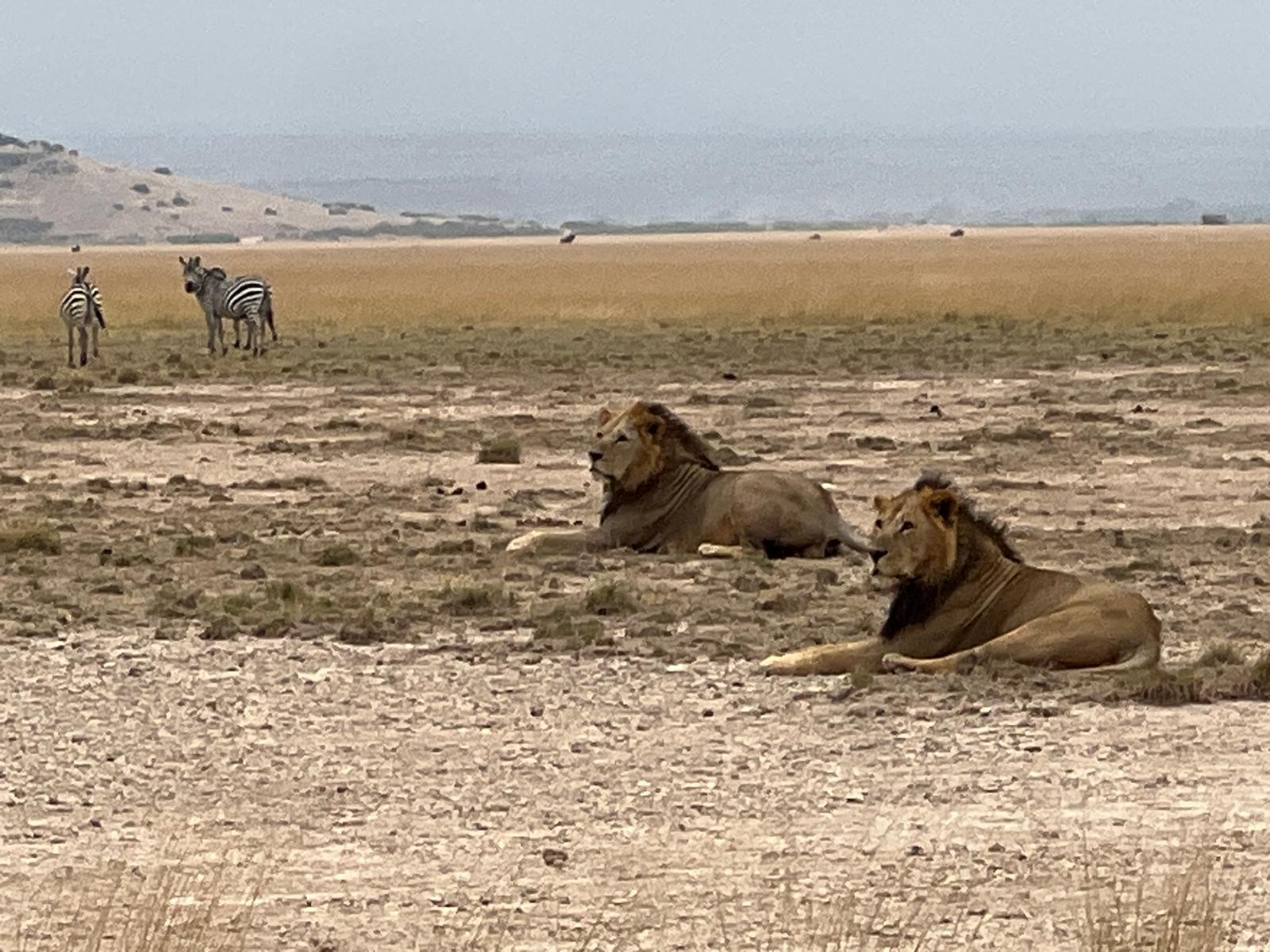 7 Day Kenya Safari