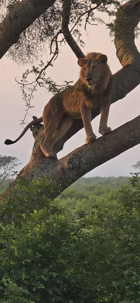 Beyond the Big Five: Discovering East Africa’s Rich Cultural Heritage on Safari