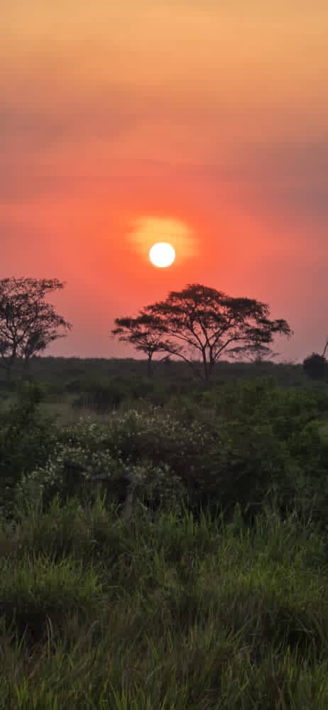 Chogoria Route Mt Kenya: The Most Scenic Trek in East Africa