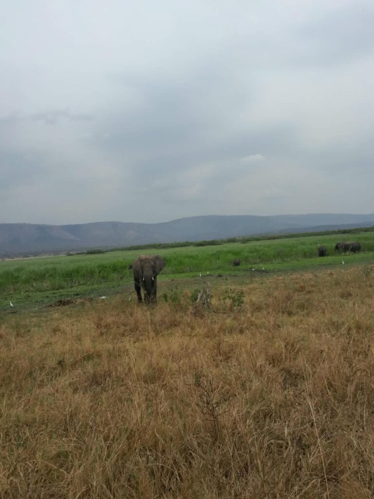 Lake Bunyonyi: Things to Do, Where to Stay & Tips