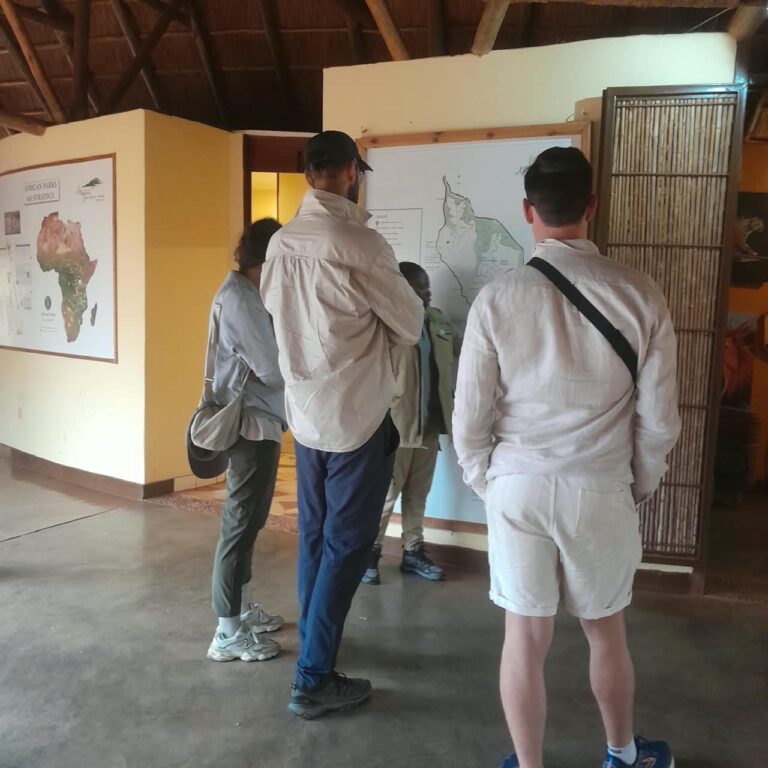 Tanzania Safari & Zanzibar Beach Holiday for Americans: The Perfect 2-Week Itinerary & Prices in USD
