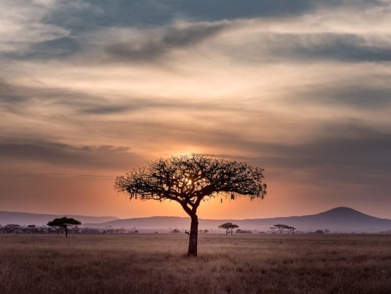 Beyond the Big Five: Cultural Experiences Every European Safari Traveller Should Try in East Africa