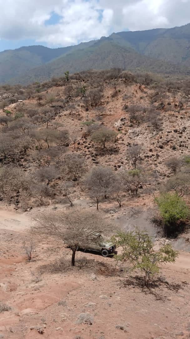 Bespoke Tanzania Safari 2026: Private Fly-In Camps, Custom Itineraries and Luxury Game Drives