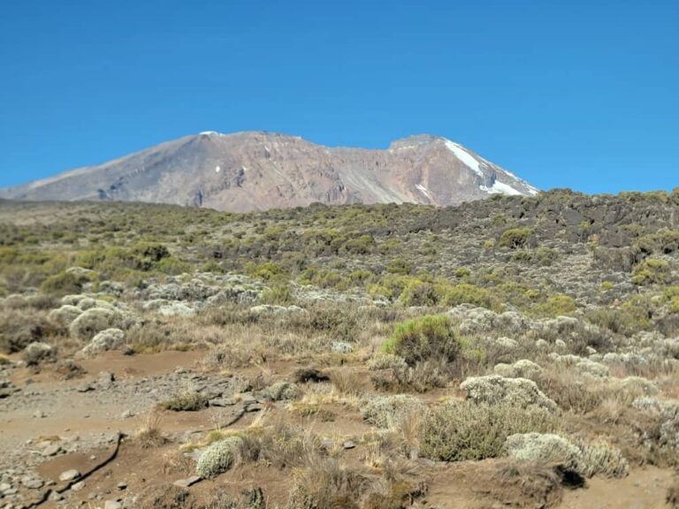 Tanzania Public Campsite Safari: 8-Day Route & Park Fees